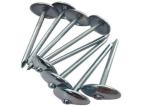 Umbrella Head Galvanized Roofing Nail For Plastic Tile