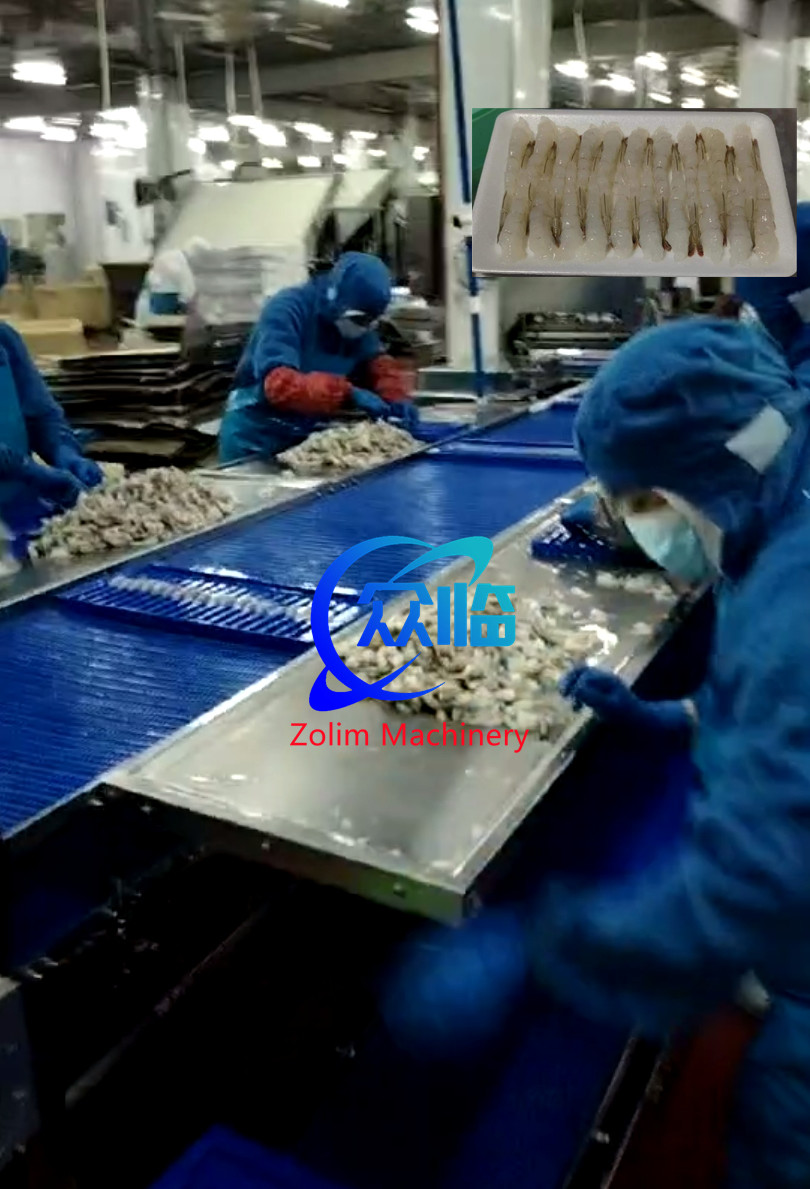 2.25KW Tempura Shrimp NOBASHI Stretching Machine, Shrimp Extending Machine
