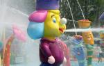 Spray Park Equipment Duck Spray Aqua Play, Water Sprayground Structures OEM