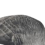 Anti Reflective Plastic GOOSE Hunting Decoy PP Silhouette Branta Canada Goose