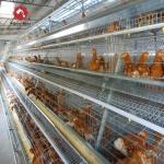 2024 Galvanized A-Type Laying Hens H-Type Battery Cage And Automatic Breeding