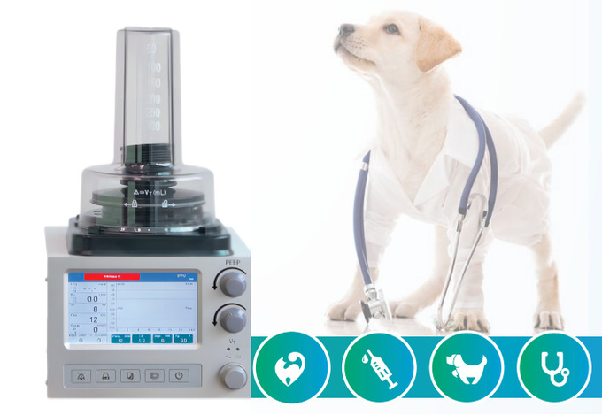 DH6B Veterinary Anesthesia Ventilator With 3 Ventilation Modes IPPV A/C SIMV