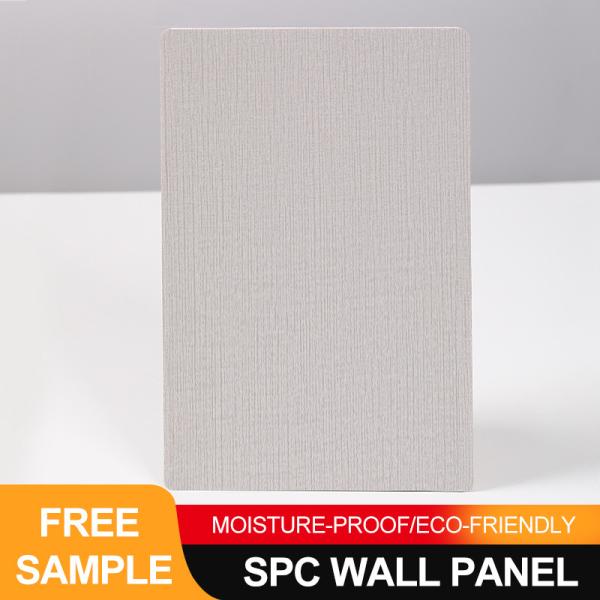 Spc Wall Panels New Trend 600*2440mm Waterproof Stone Plastic Siding Eco