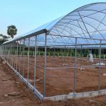 Reasonable Cost Plastic Film Greenhouse 0.12mm-0.2mm Thickness