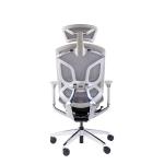 Dvary Adjustable Office Chair Ergo Mesh Manager Sync Sliding 4 Gas Lift