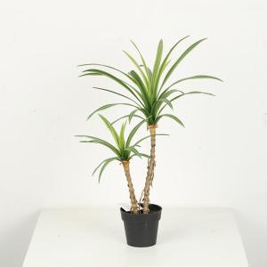 China Black Plastic Pot Faux Potted Dracaena Plant 38 CM 50 CM 68 CM For Home Decor factory