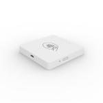 Mobile EMV POS Terminal