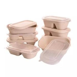 China Disposable Compostable Take Away Food Containers Sugarcane Bagasse Tableware Box factory
