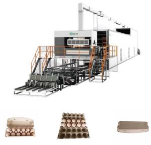 China Custom Paper Tray Making Machine Long Lasting For Egg Trays Boxes factory
