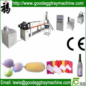 China HIGH QUALITY EPE Foam fruit Net extruding making Machine factory