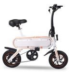 Lithium Battery Powered 12 Inch Eco Electric Bike for Eco-Friendly and Modern
