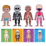 Educational Human Body Puzzle Anatomy Toys Logical Thinking Gifts For Preschoole
