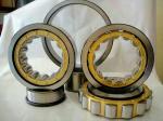 NJ305EM / C3 Flange Inside Ring Single Row Cylindrical Roller Bearings Chrome