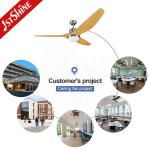 Remote Control Abs Blades Dimmable LED Ceiling Fan 64 Inch Mulit Colors
