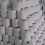 Industrial Poly Poly Core Spun Thread TFO Process Excellent Evenness 12s/3
