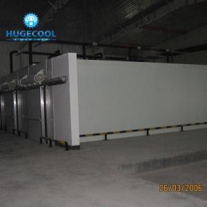 China Deep Freezer Cold Room For Meat And Fish With Full Automatic Control factory