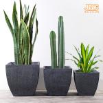 Clay Pot Planter Set Concrete Planters Big Planter Pots Square Planters Indoor