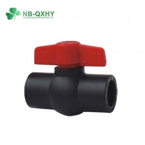 China US 2/Piece Samples Socket Joint PE Pipe Fitting Water Valve Plastic HDPE Ball Valve factory