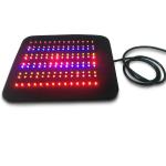 12V Light Therapy Machine Photodynamic Therapy Equipment Near Infrared NIR Flex