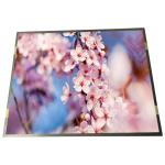 19.0 Inch 1280(LCR)×1024 SXGA 86PPI Medical LCD Panel R190EFE-L51