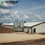 Earthquake Resistant Steel Structure Poultry House Free Design Full Equipment