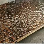 SUS301 Stainless Steel Sheet Building Material