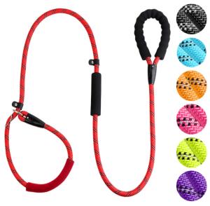 China Red Nylon Training Dog Leash With Soft Comfortable Padded Handle 100 Ft Dog Leash factory