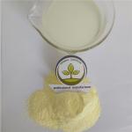 durian fruit powder buy best health benefits supplement smell products nutrition