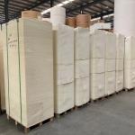 Film Laminated Waterproof Cup Paper Sheet 150-320gsm PE Coated For Flexo Offset