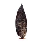 Metal Leaf Polishing Corten Steel Sculpture Wooden Crate
