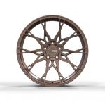Mutli Spokes Racing Forged Wheels