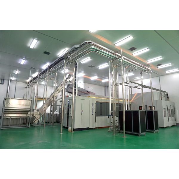 Bottling Aseptic Packaging Line Filling Line For Carbonated Noncarbonated