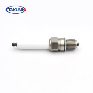 R5B12-77C Double Iridium Pre-Chamber Spark Plug for Generator Sets with Cost