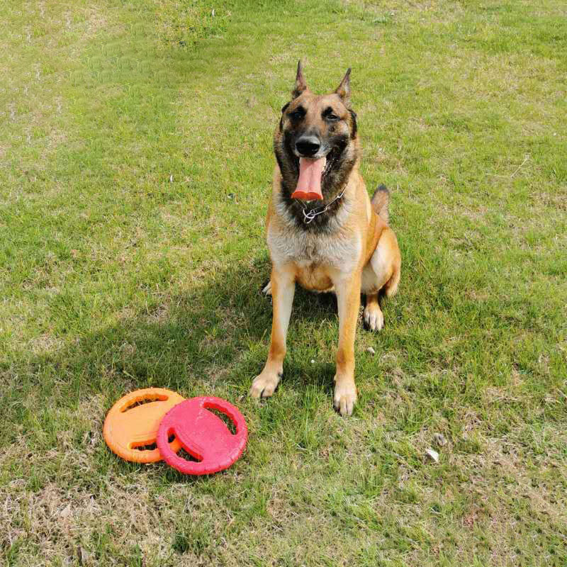 Dog Flying Play Toy Function Outdoor EVA Dog Flying Disc Durable Training Toy