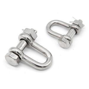 China 304 316 Stainless Steel Heavy Duty Straight D Ring Shackle factory