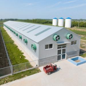 China Low Price Modern Prefabricated Steel Structure Chicken House Farm Building factory