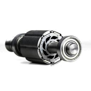 China AlNiCo Custom Permanent Magnetic Assembly Steel Radial Multipole Magnet Rotor factory