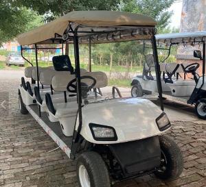 China NEV Electric 10 Seater Golf Cart Kustom With Under Seat Storage factory