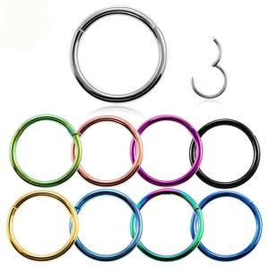 China Titanium Hinged Segment Nose Ring 16g&amp;14g Nipple Clicker Ear Cartilage Tragus Helix Lip Piercing Unisex Fashion Jewelry factory