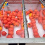SS 380V Industrial Vegetable And Fruit Washing Machine