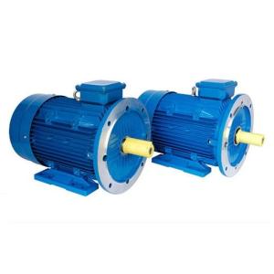 China Variable Speed Brushless Permanent Magnet Motor 380V Self Sensing Operation factory