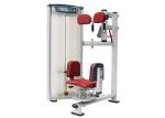 Ergonomic Torso Rotation Machine , Commercial Workout Equipment Biomechanics
