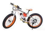Fat Tyre 2 Wheel Electric Bike 48V Mountain Bike Electric Snowmobile Alloy Frame