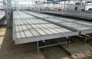 China Seedbed Hydroponic Grow Trays Aquaponics Floating Grow Bed 3ft 4ft 5ft factory