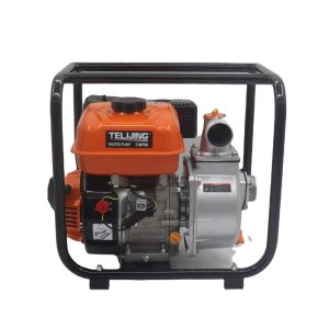China 3600 RPM 2 Inch 3 Inch 4 Inch 6 Inch Gasoline Water Pump Mini Portable Farm Diesel Pump factory