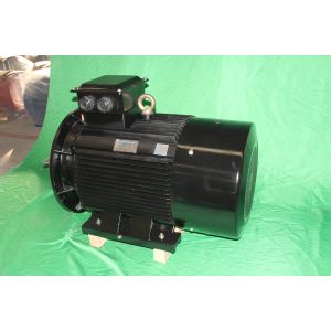 China YE3 355L2 4 Pole Class F AC Asynchronous Motor 280kW IP55 factory
