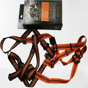 China Skylotec Arg 30 Machinery &amp; Industrial Equipment G-0030-H Safety Harness factory