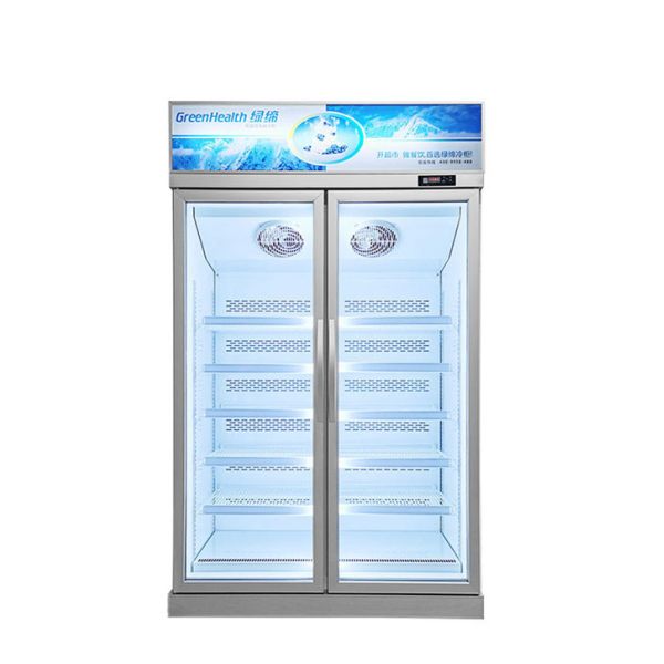 Convenience Store Commercial Freezer Refrigerator 444L Adjustable Shelves