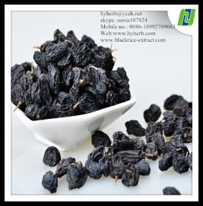 China Powder Formed Natural Organic Black Currant Extract factory