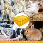 Poultry Carrier Crate Chicken Transport Cage Bird Chicken Carrier Travel Crate